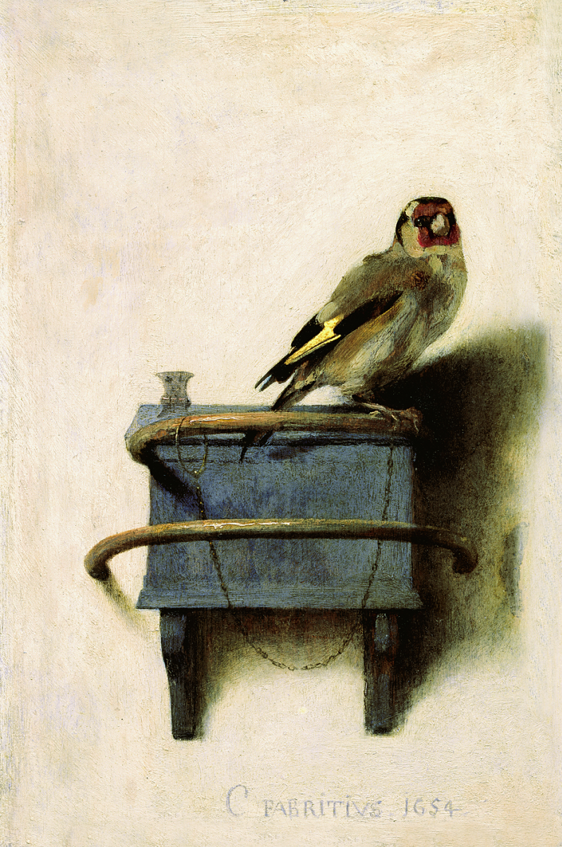 Karel Fabricius. Goldfinch