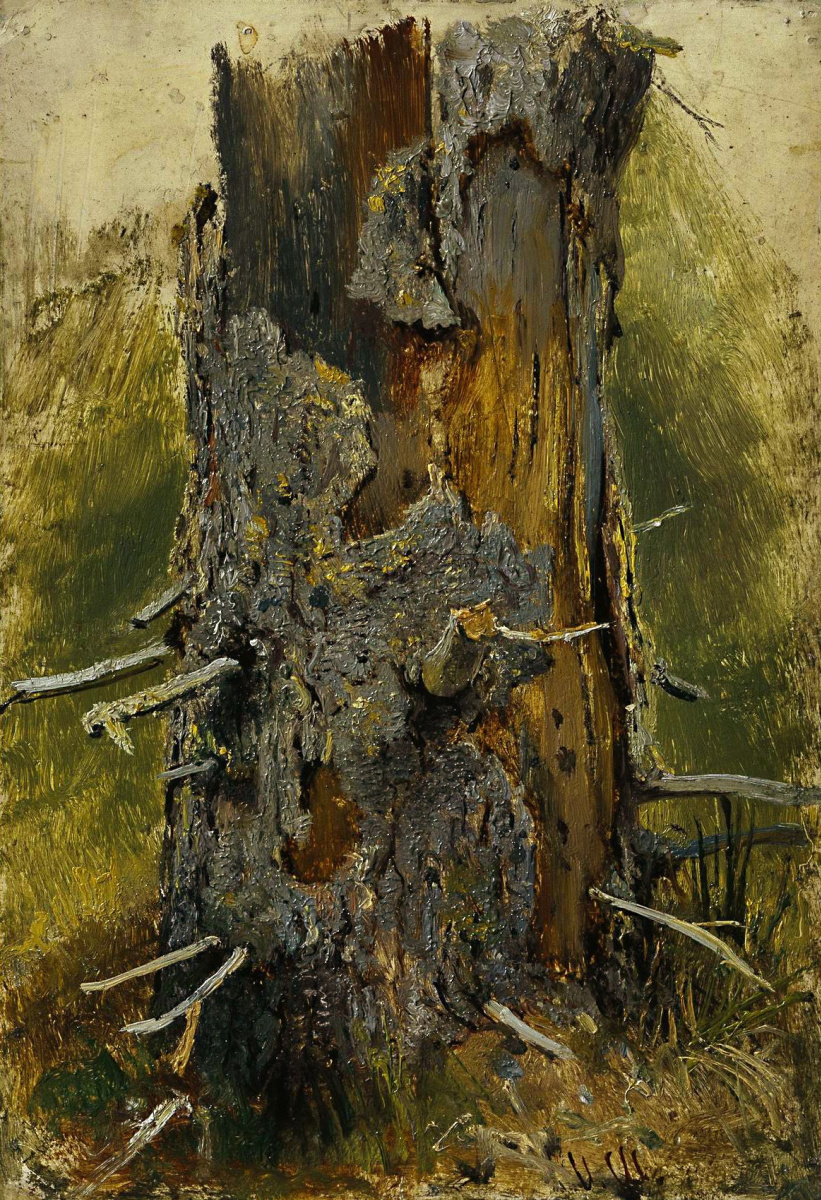 Ivan Shishkin. Bark on dry trunk