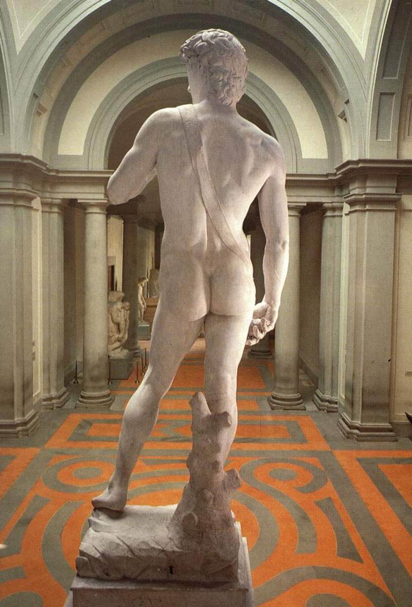 Michelangelo Buonarroti. David. Rear view