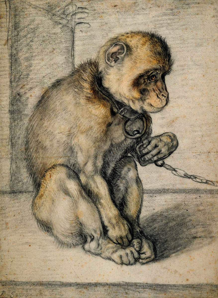 Hendrik Goltzius. Monkey on a chain