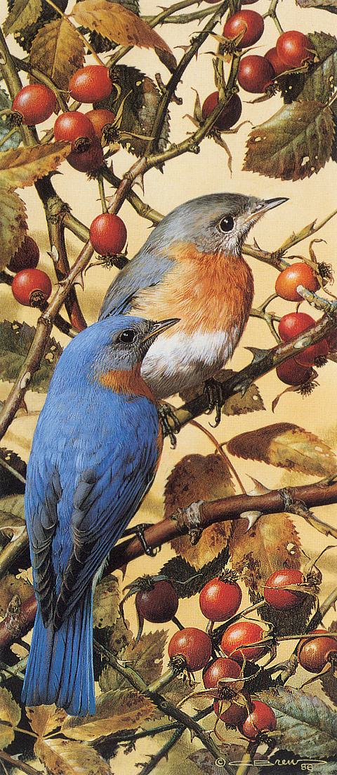Carl Brenders. Blue bird
