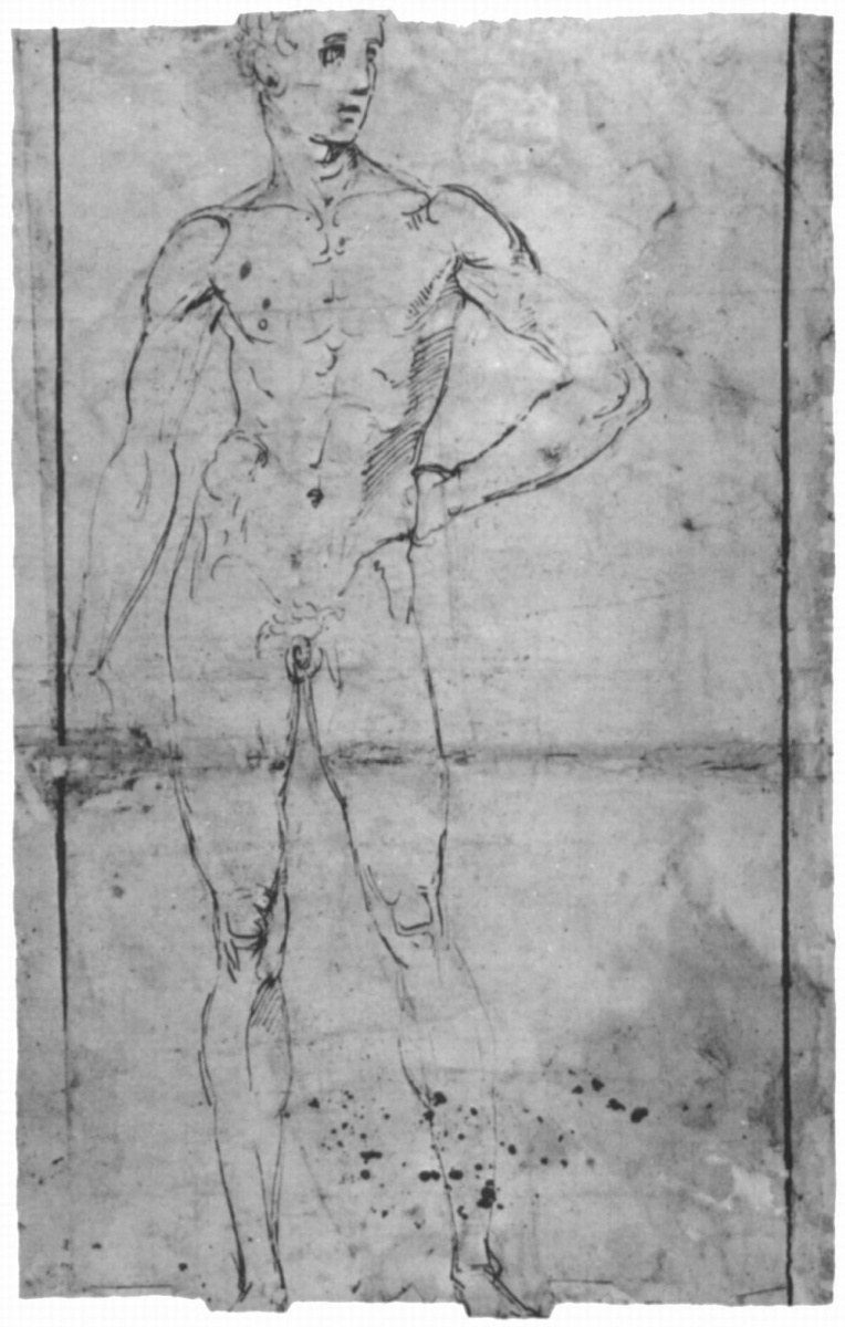 Raphael Sanzio. Standing Nude
