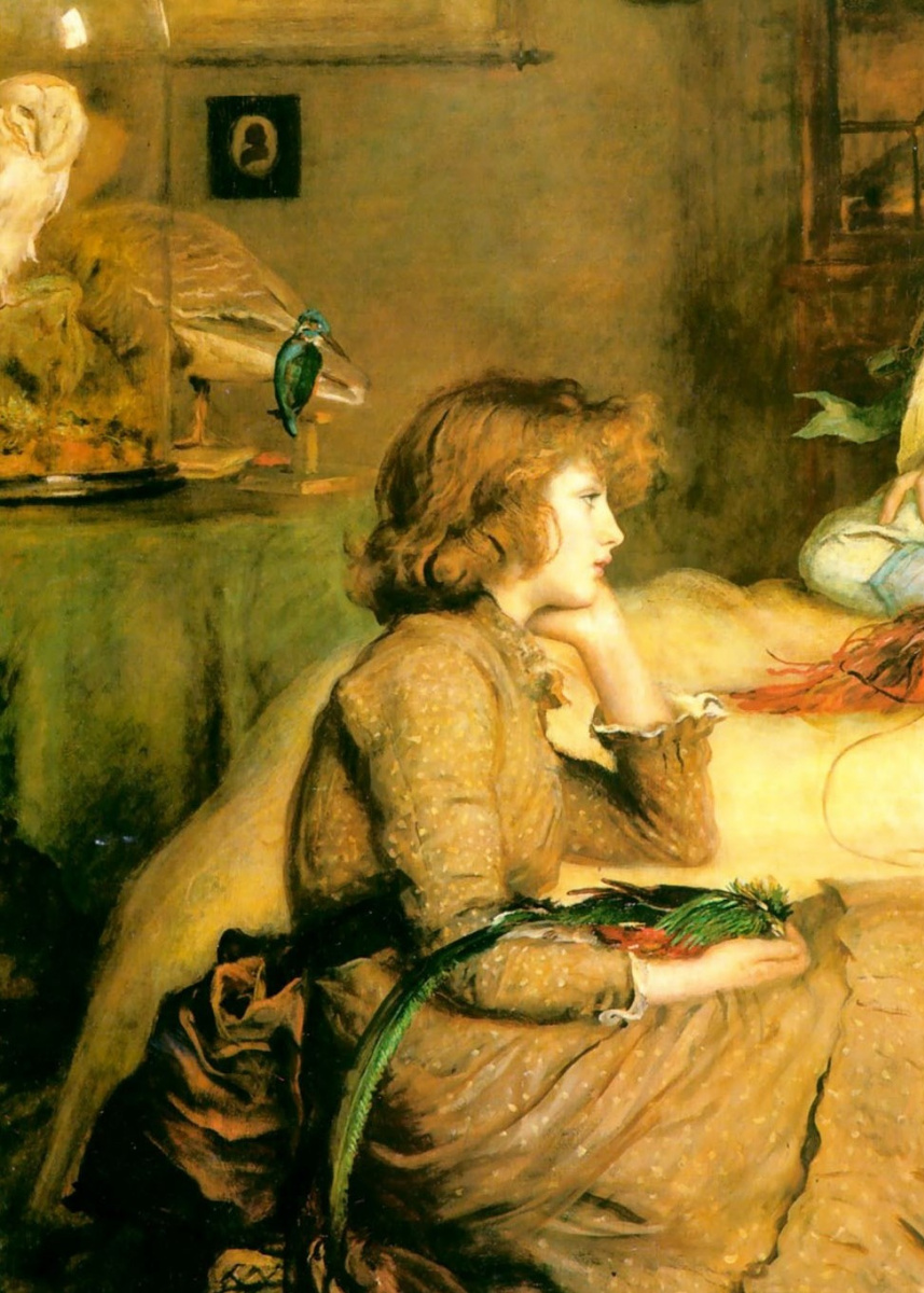 John Everett Millais. Main passion. The ornithologist. Fragment