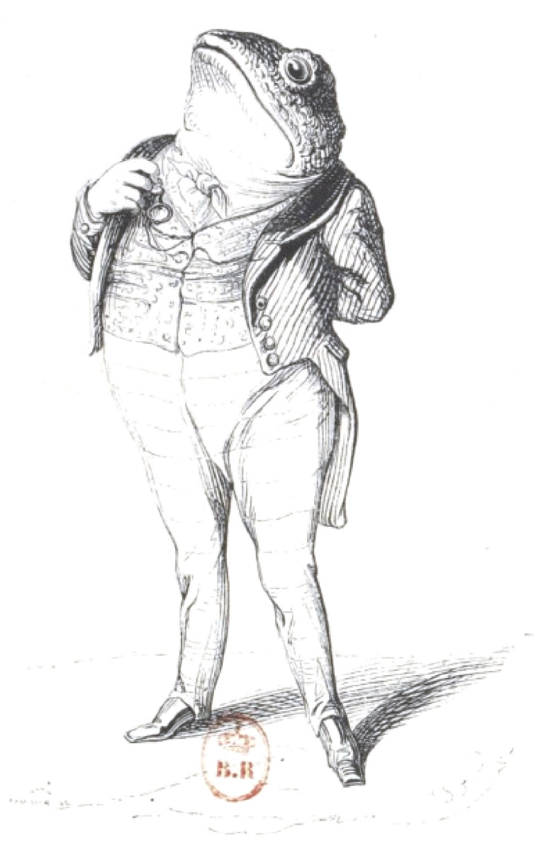 Jean Ignace Isidore Gérard Grandville. Toad: everyone owes his country! "Scenes of public and private life of animals"