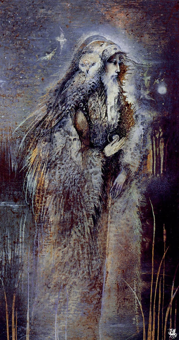 Susan Seddon Boulet. Shaman. Applicant