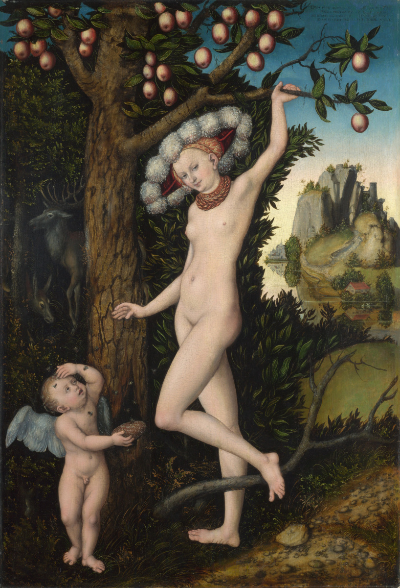 Lucas Cranach the Elder. Vénus et Cupidon, volant du miel
