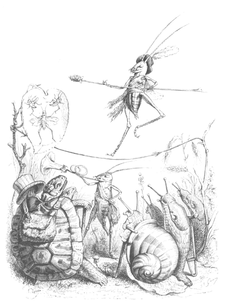 Jean Ignace Isidore Gérard Grandville. Rope-walker. "Scenes of public and private life of animals"