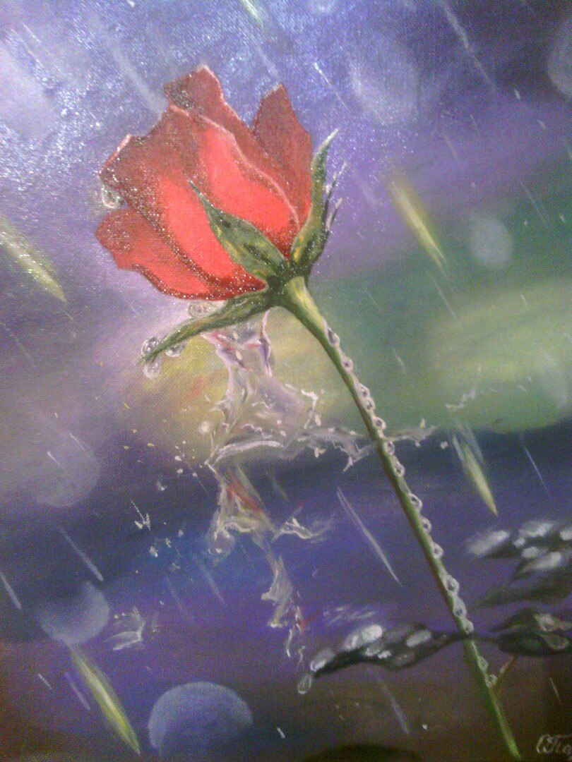 Olga Pavlovna Georgieva. Rose in the rain