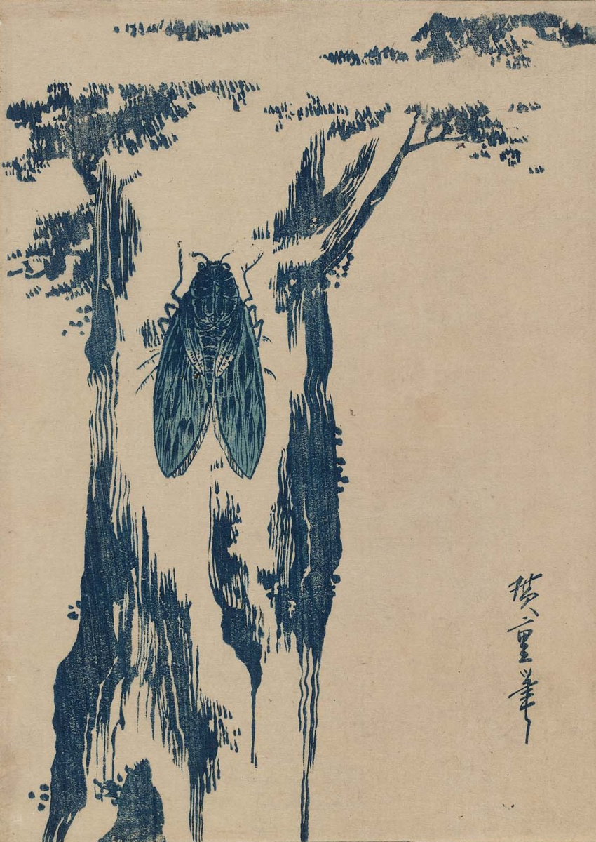Utagawa Hiroshige. Cicada on a tree trunk