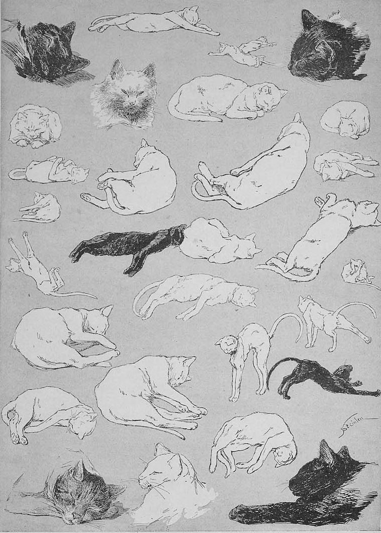 Theophile-Alexander Steinlen. Cats: pictures without words. Laziness