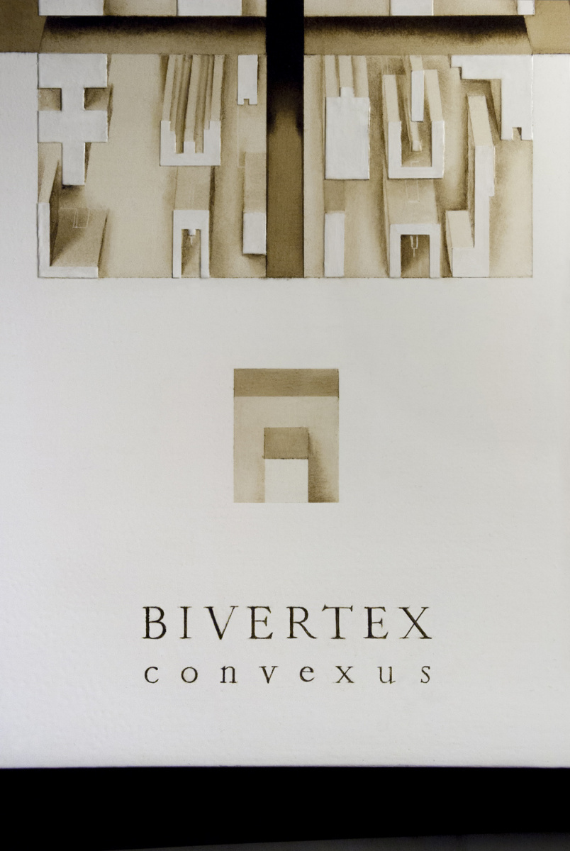 BIVERTEX convexus