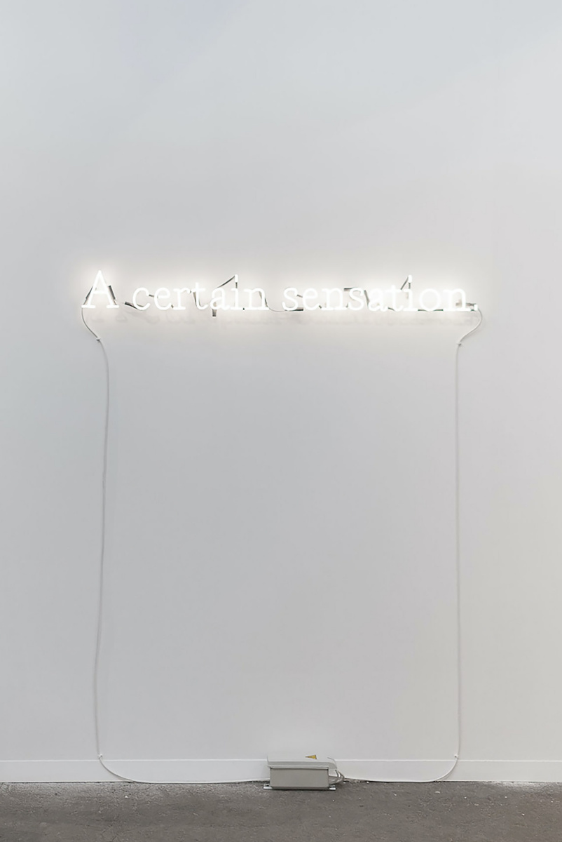 Joseph Kosuth. Private Language I (PI) '[White]