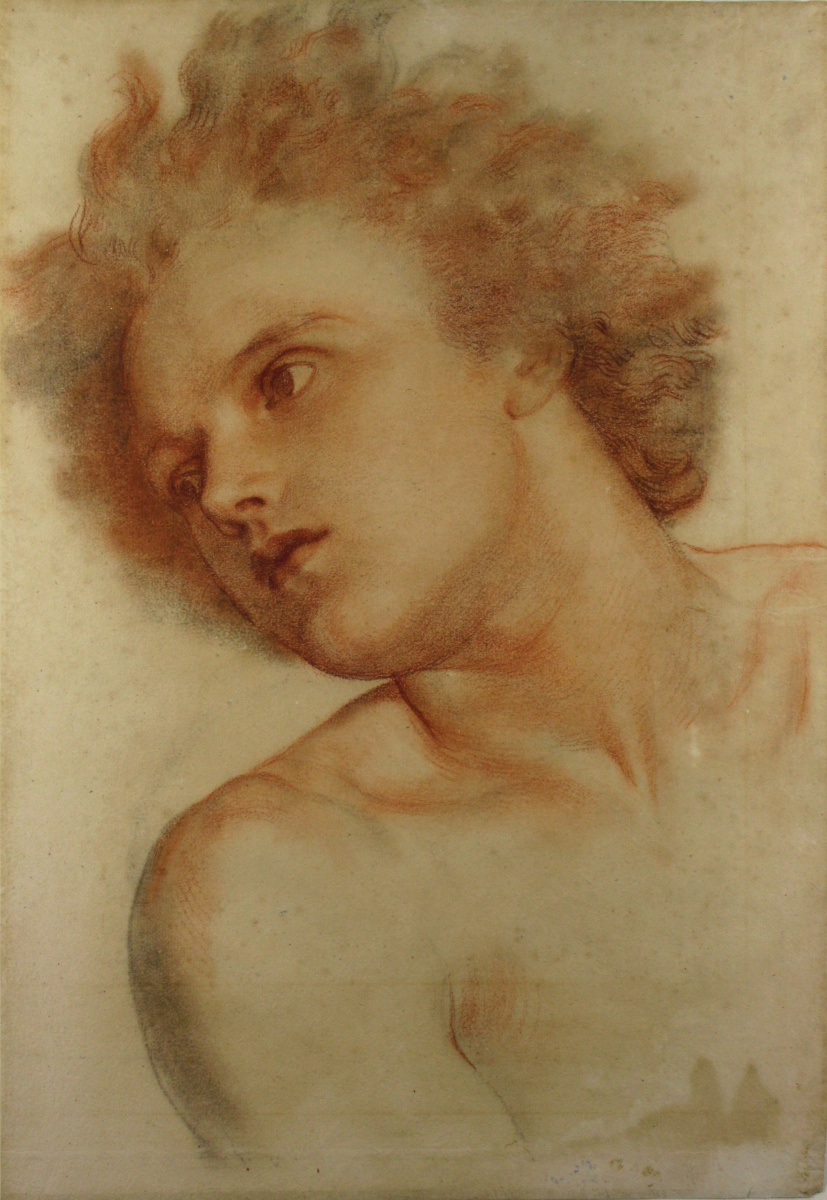 George Frederick Watts. Picture of a young man for the wall painting "Earth"