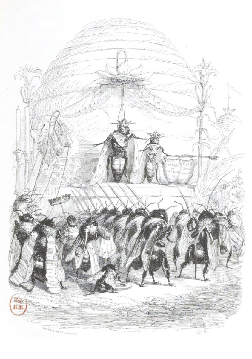 Jean Ignace Isidore Gérard Grandville. Queen of the Hive Titimalia. "Scenes of public and private life of animals"