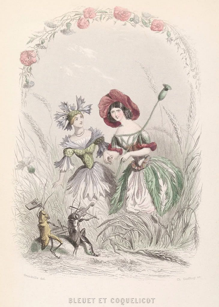 Jean Inias Isidore (Gerard) Granville. Kornblume und wilde Mohnblume. Die Serie "Animate Flowers"