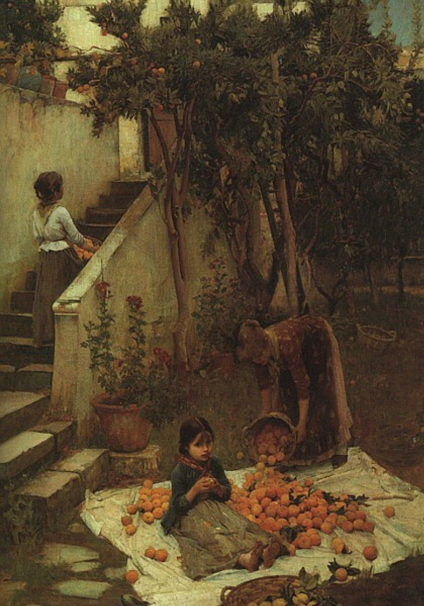 Picking oranges