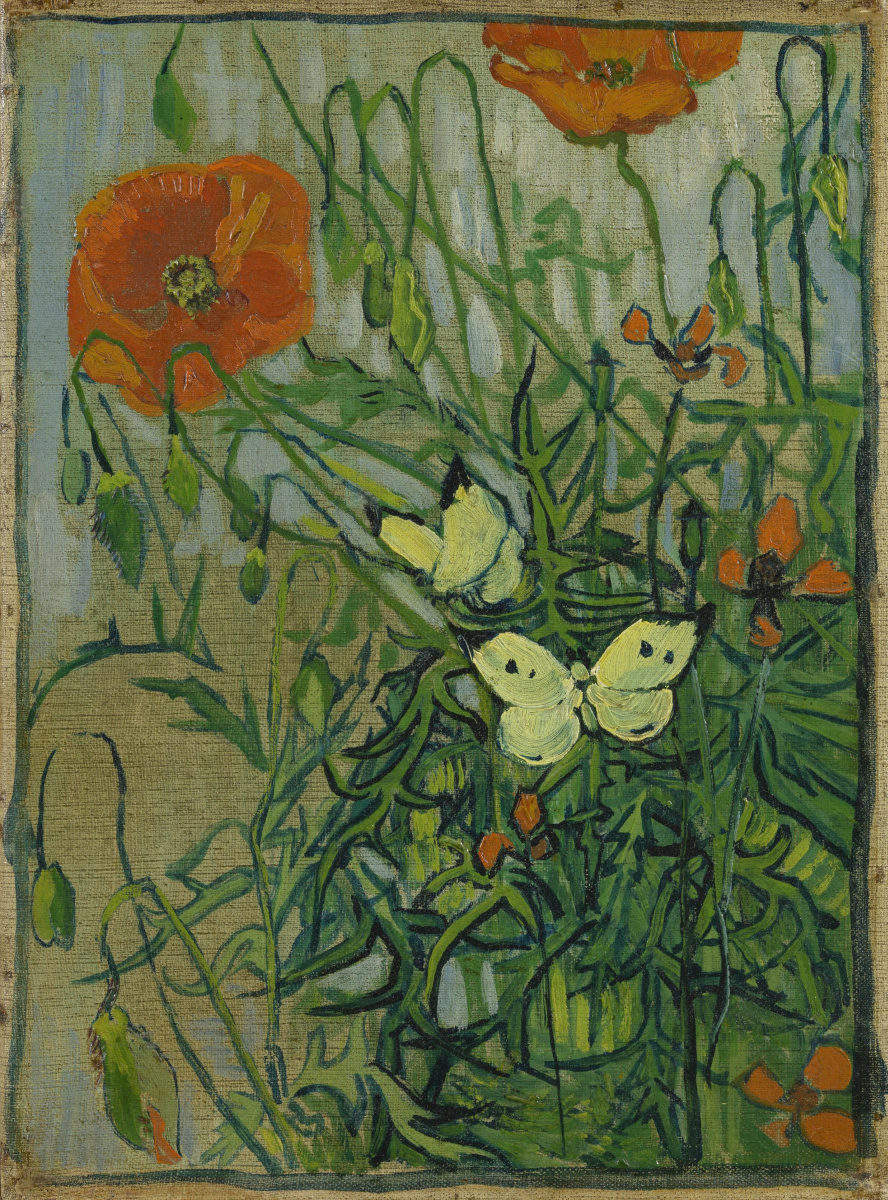 Vincent van Gogh. Poppies and butterflies