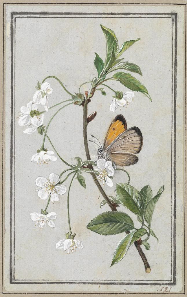 Fedor Petrovich Tolstoy. Butterfly on a blossoming branch