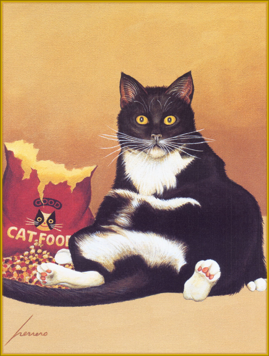 Lowell Herrero. Well-fed black and white cat