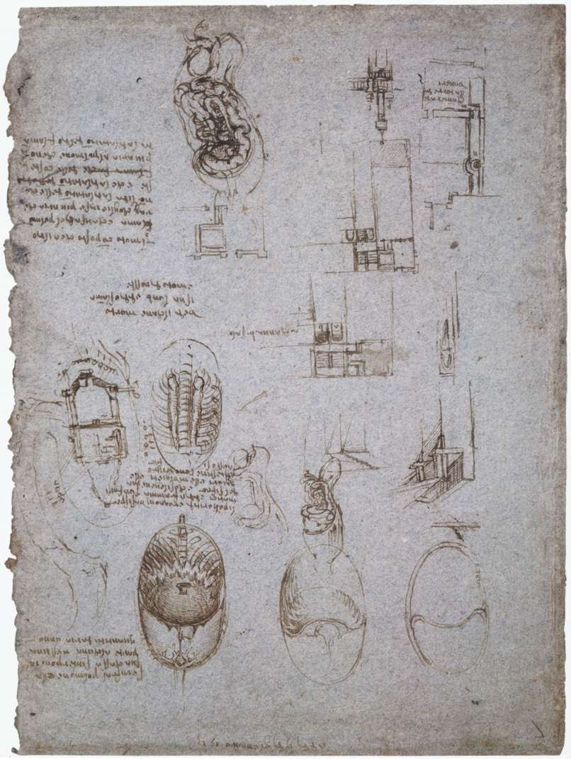 Leonardo da Vinci. Sketches of the Villa Melzi and anatomical sketches