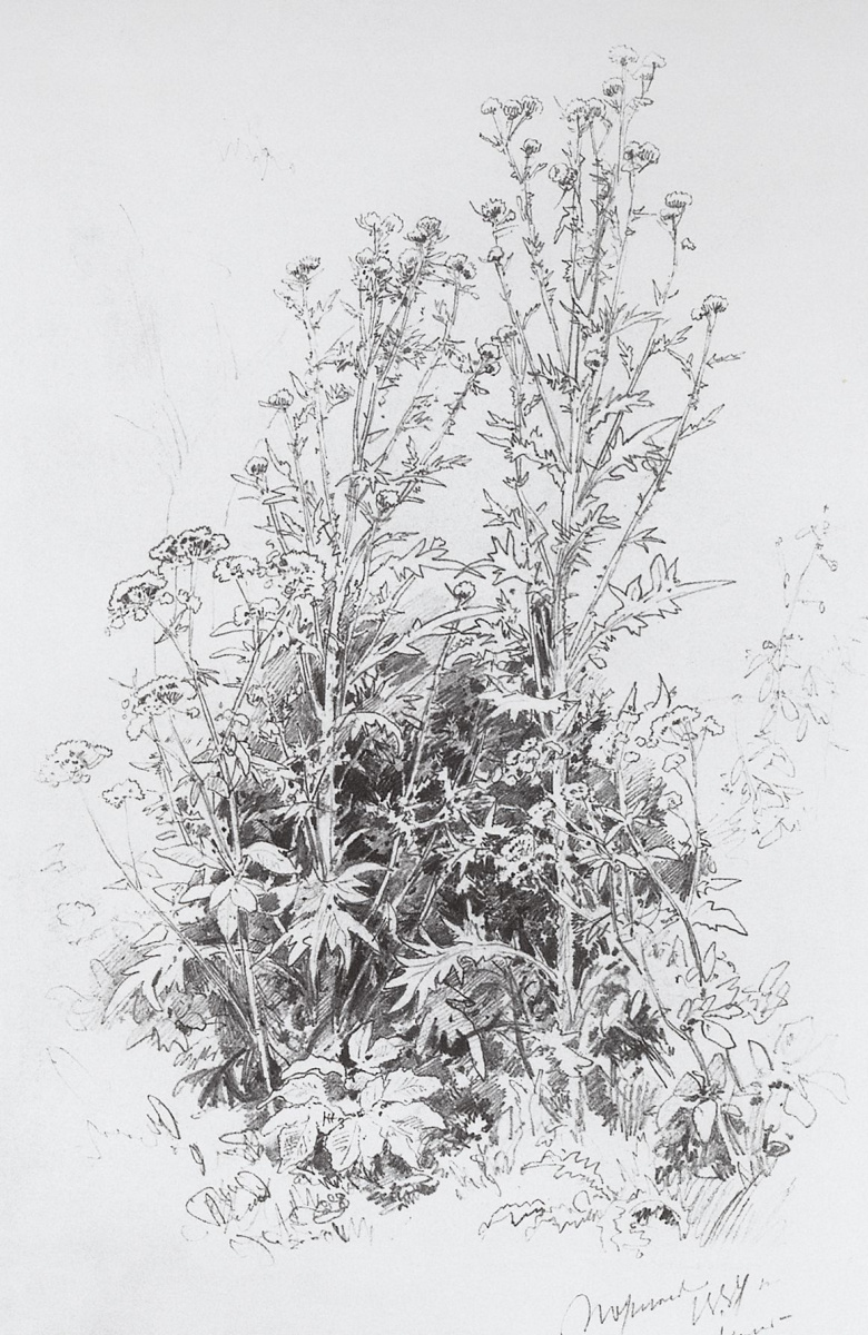 Ivan Ivanovich Shishkin. Wildflowers