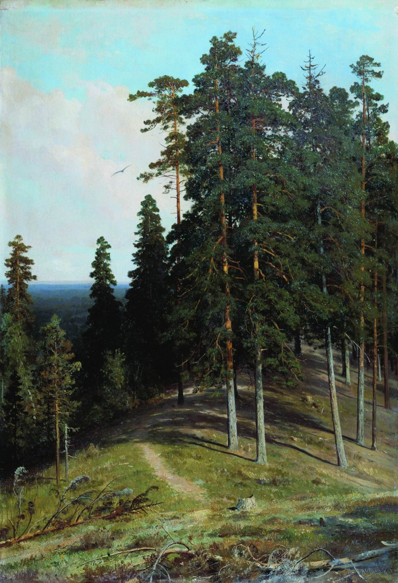 Иван Иванович Шишкин. Лес с горы