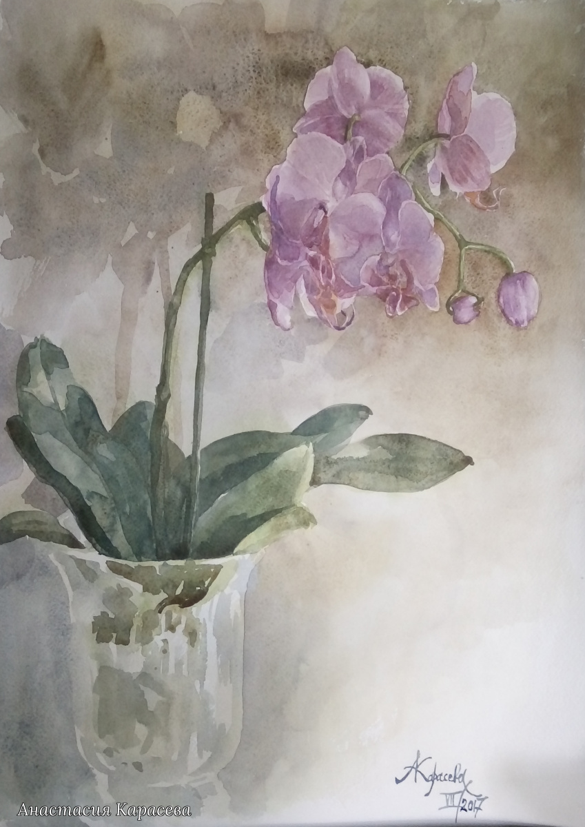 Анастасія Карасьова. Розовая орхидея