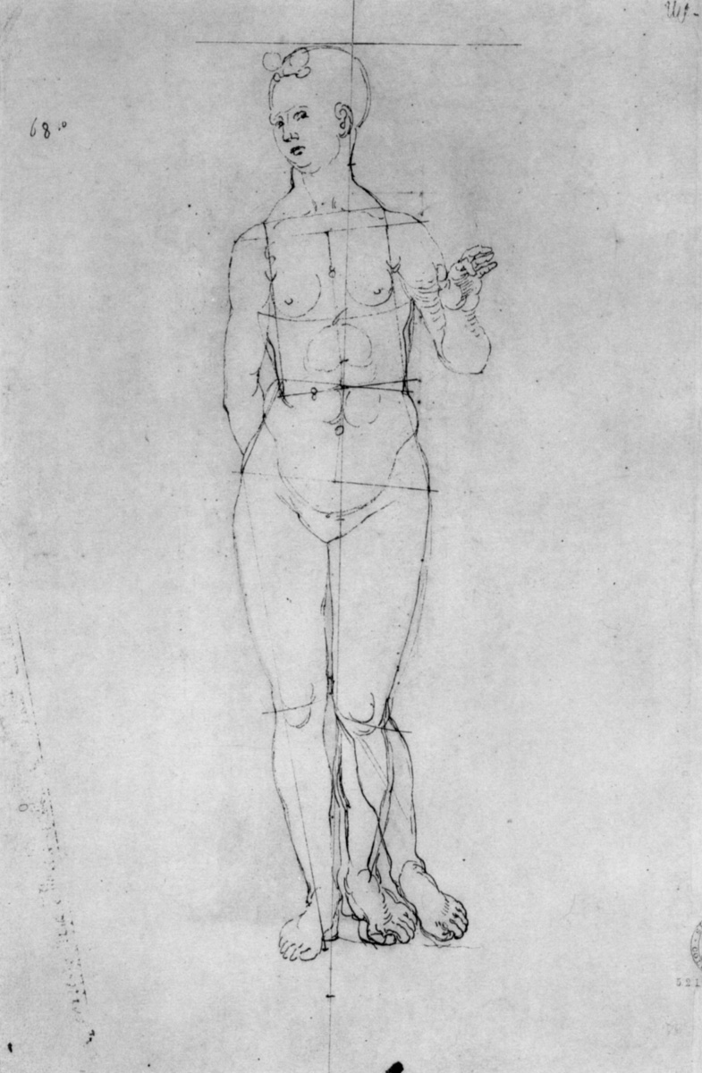 Albrecht Dürer. Nude
