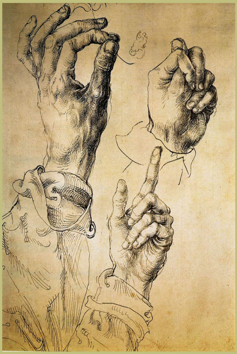 Albrecht Dürer. Study of three hands