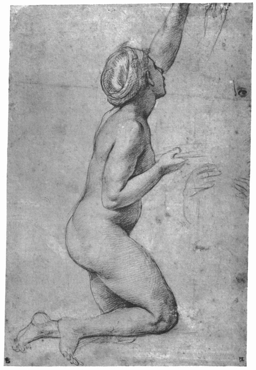 Raphael Sanzio. Study for the frescoes of the Loggia of psyche. Sketch Nude