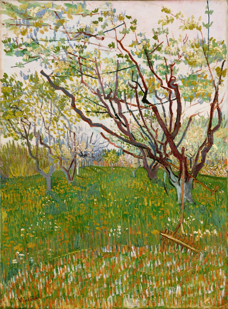 Vincent van Gogh. Orchard in bloom