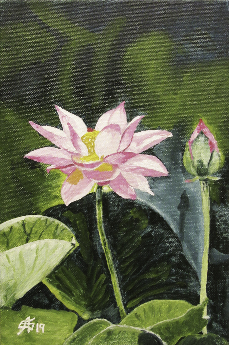 Artashes Badalyan. Lotus - xm - 30x20