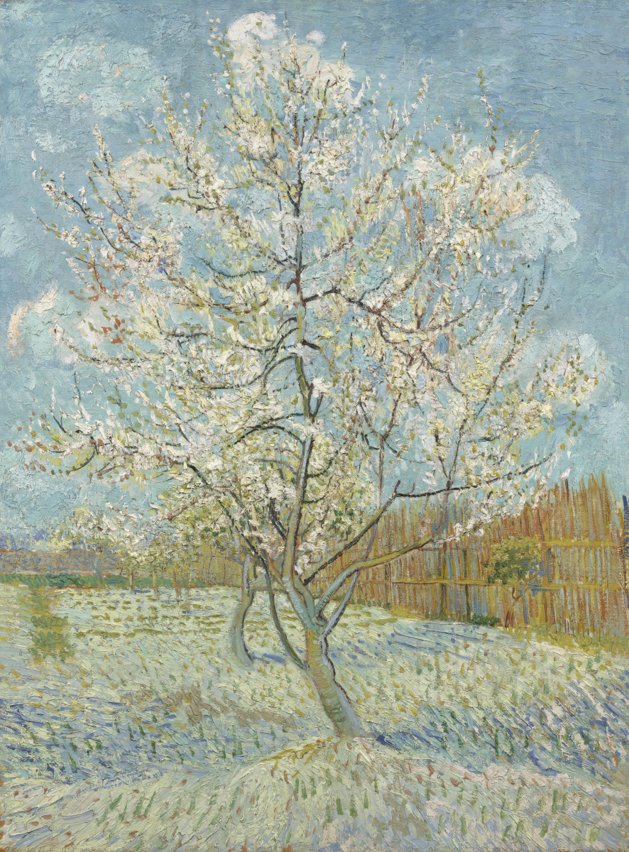 Вінсент Ван Гог. Персиковое дерево в цвету