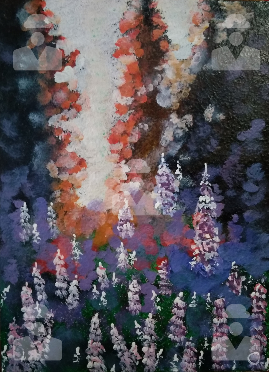 Art-Teodor Gallery. Forest lupines