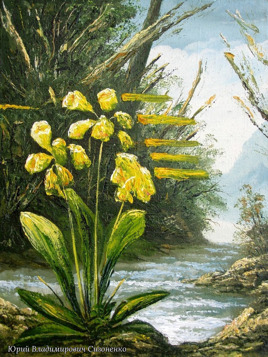 Юрий Владимирович Сизоненко. Квіти біля річки.