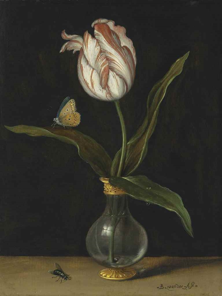 Balthasar van der Ast. Still life with Tulip