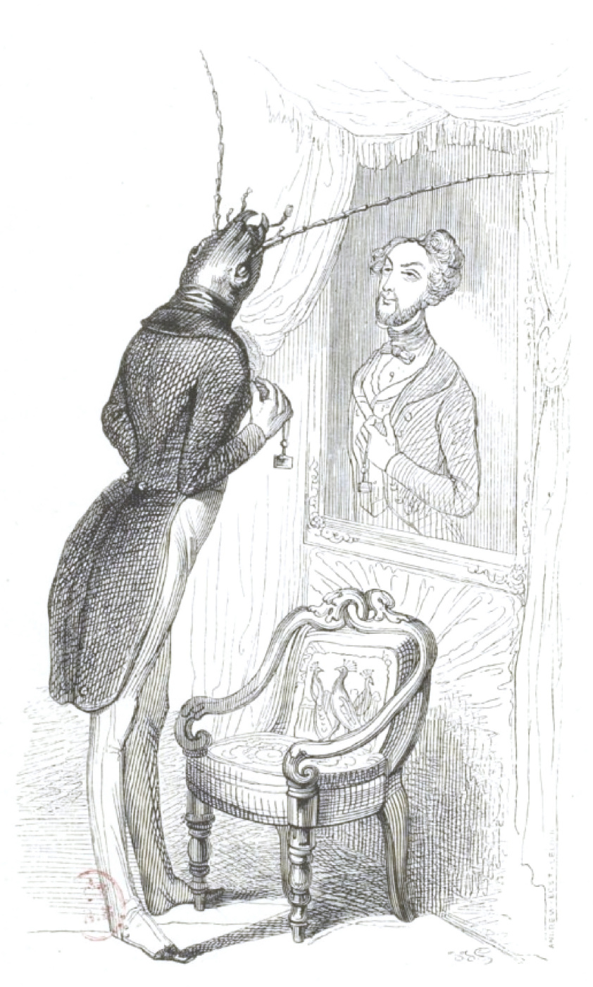 Jean Ignace IsidoreGérard 格兰维尔. 在镜子里。 “动物的公共和私人生活场景”