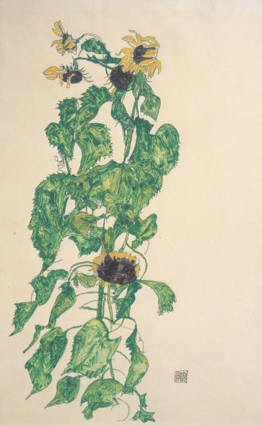 Egon Schiele. Sunflower