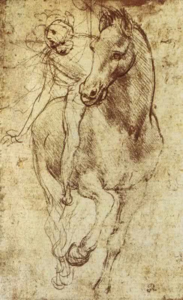 Leonardo da Vinci. 马和骑士