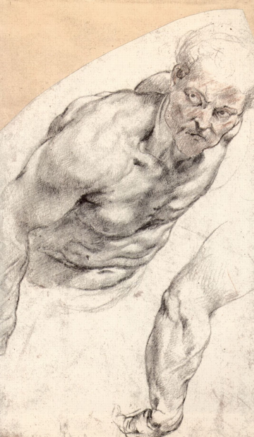 Peter Paul Rubens. Sketch of Nude model