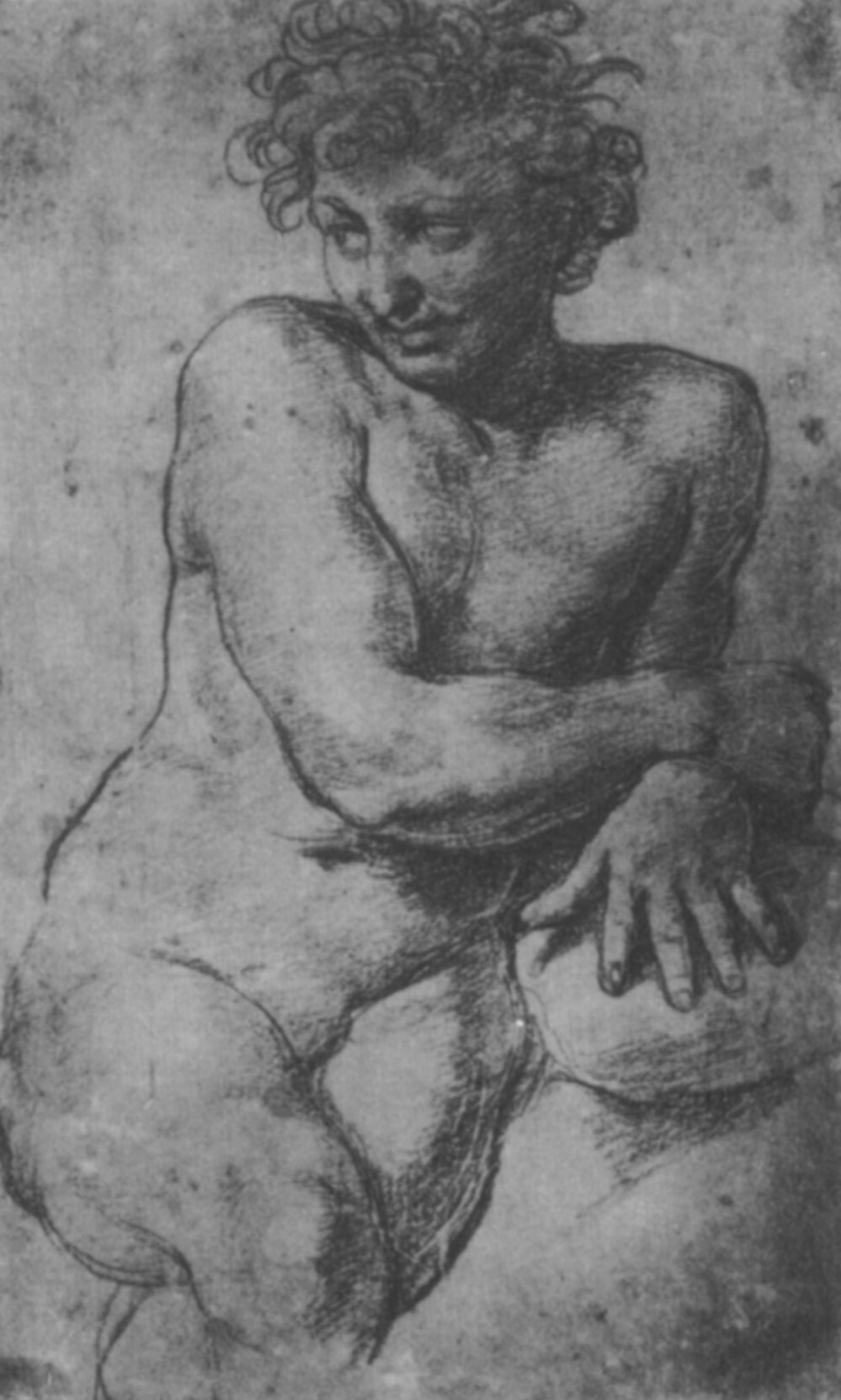 Buy digital version: Sitting naked young man. Sketch the image of Pluto,  for painting of the loggia of psyche by Raphael Sanzio, Berlin | Arthive