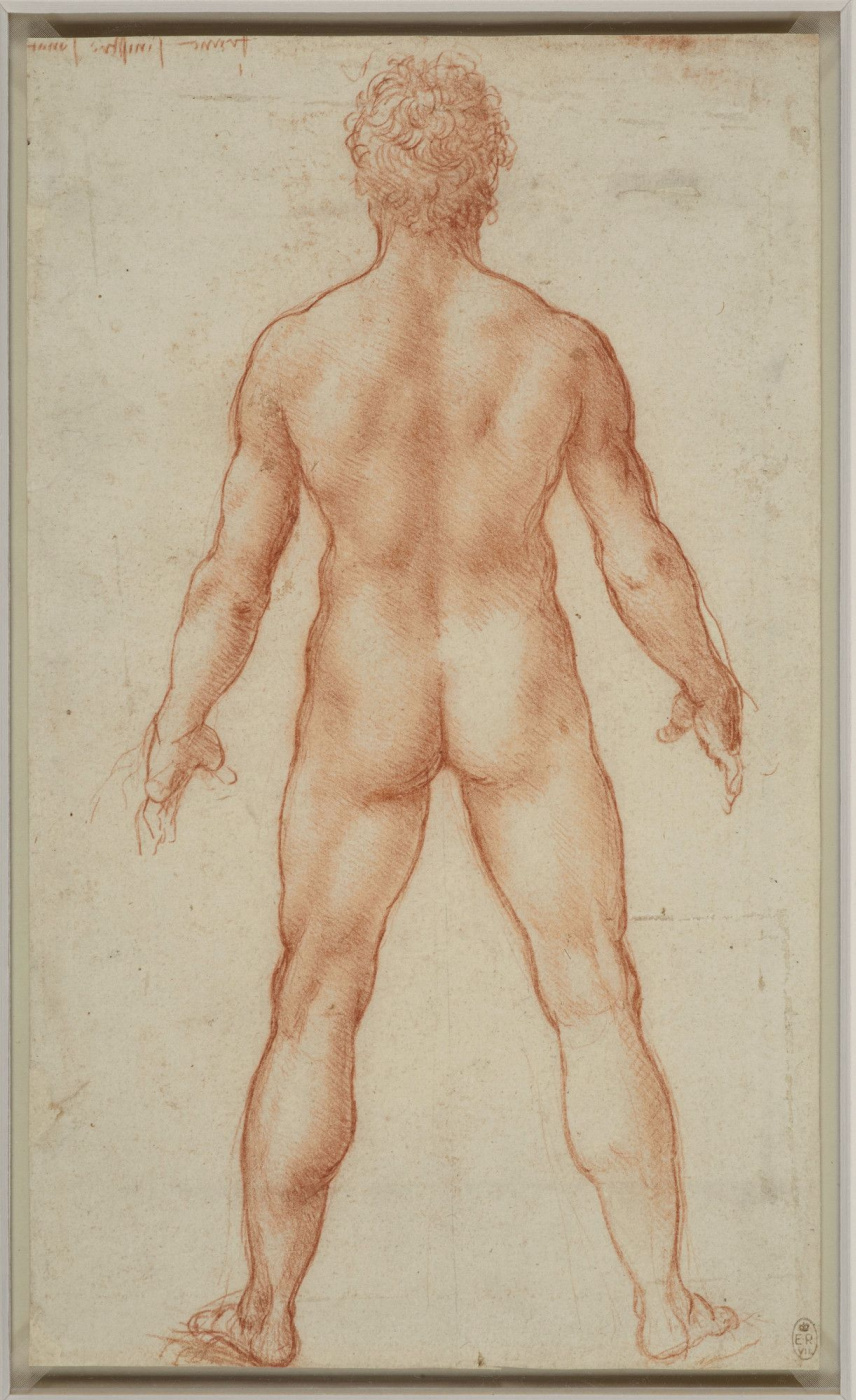 Леонардо да Винчи. Рисунок стоящего обнаженного мужчины