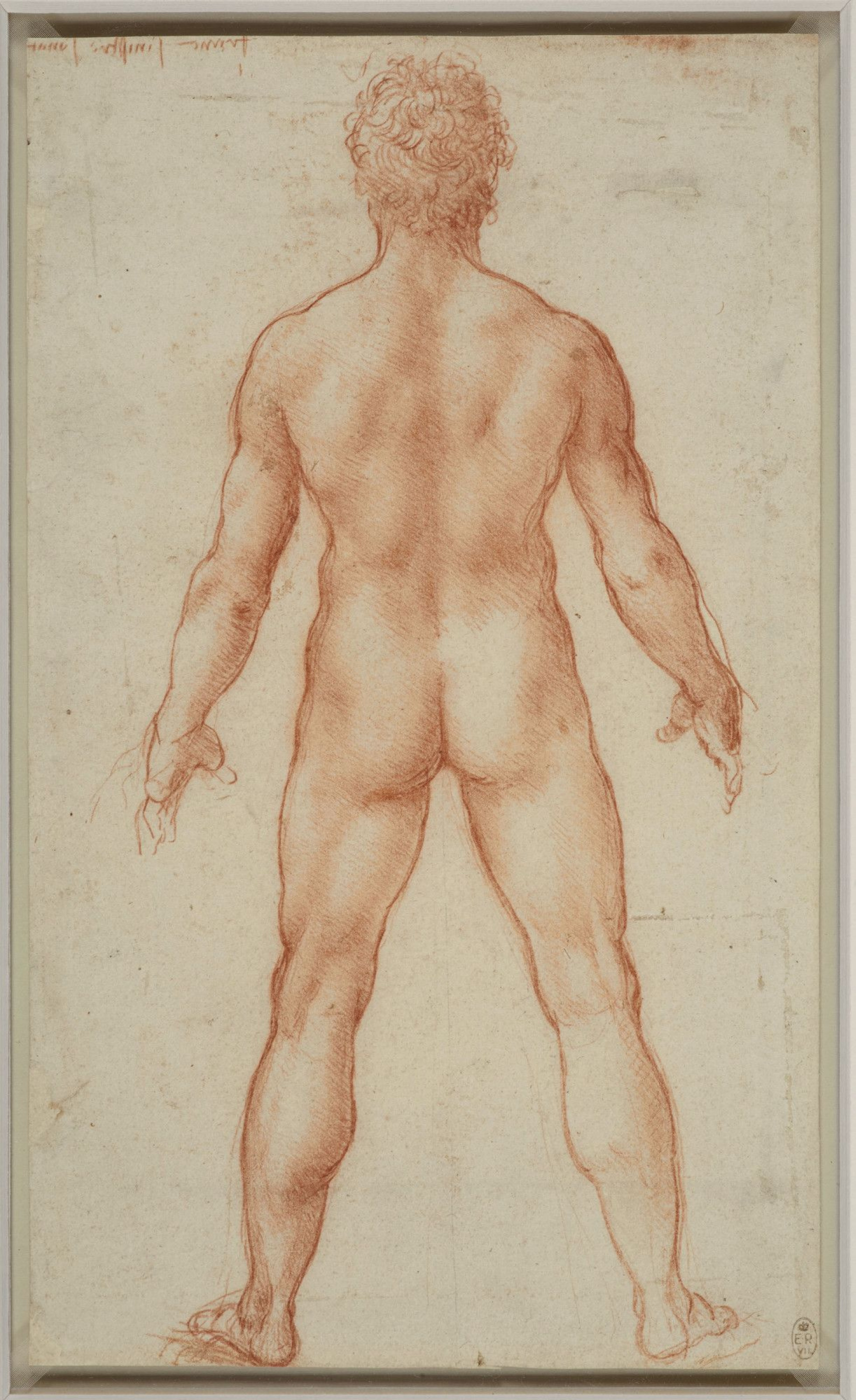 Buy a digital copy: Leonardo da Vinci - Figure of a standing naked man,  London | Arthive