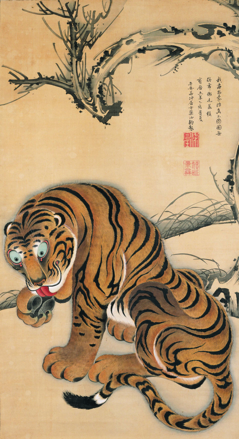 Ito Dziakutu. Tiger