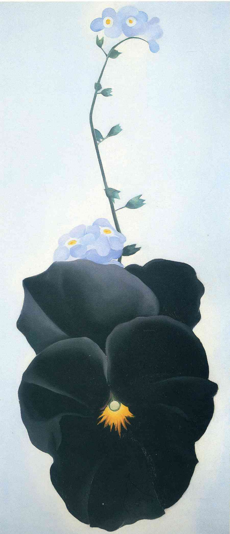 Georgia O'Keeffe. Black Pansy and forget-me-nots