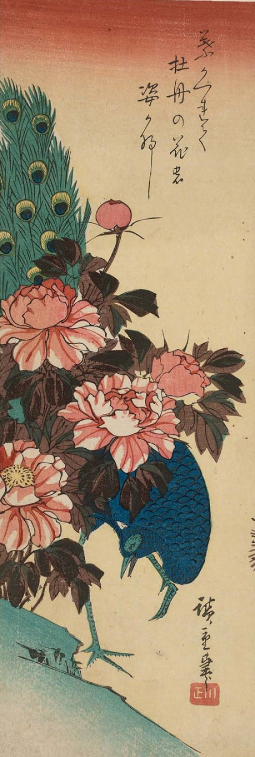 Utagawa Hiroshige. Paon sur la colline et pivoines. Série "Oiseaux et Fleurs"