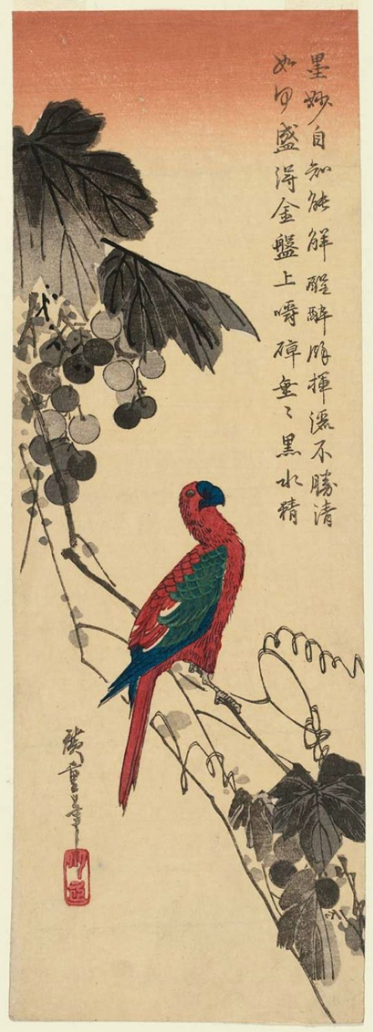 Utagawa Hiroshige. Macaw parrot on a grape vine. Series "Birds and flowers"