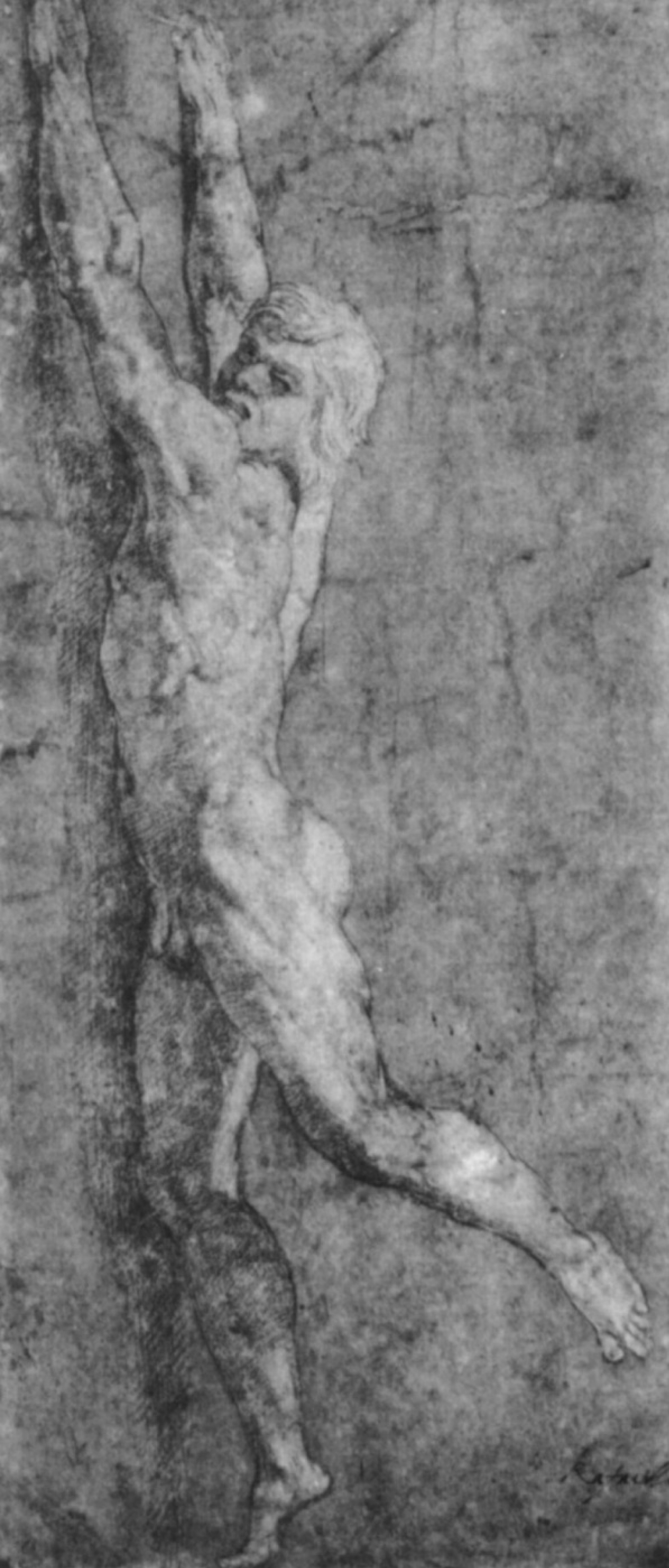 Buy digital version: Naked young man, hanging on the wall. Sketch for the  fresco of 