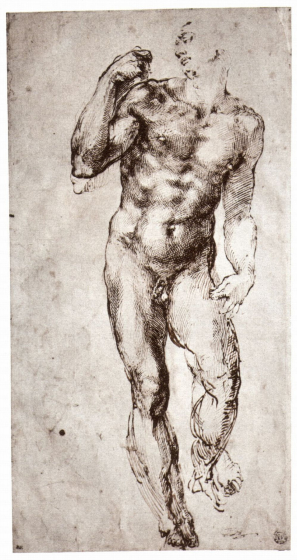 Michelangelo Buonarroti. Standing Nude (front view)