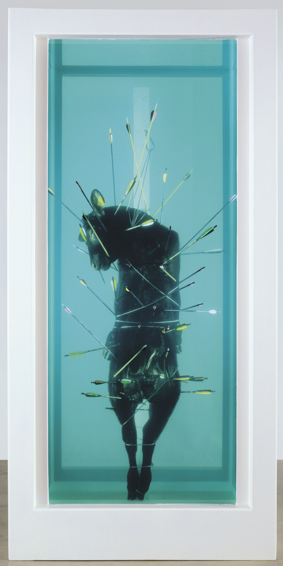 Damien Hirst. Sebastian, vorzüglicher Schmerz